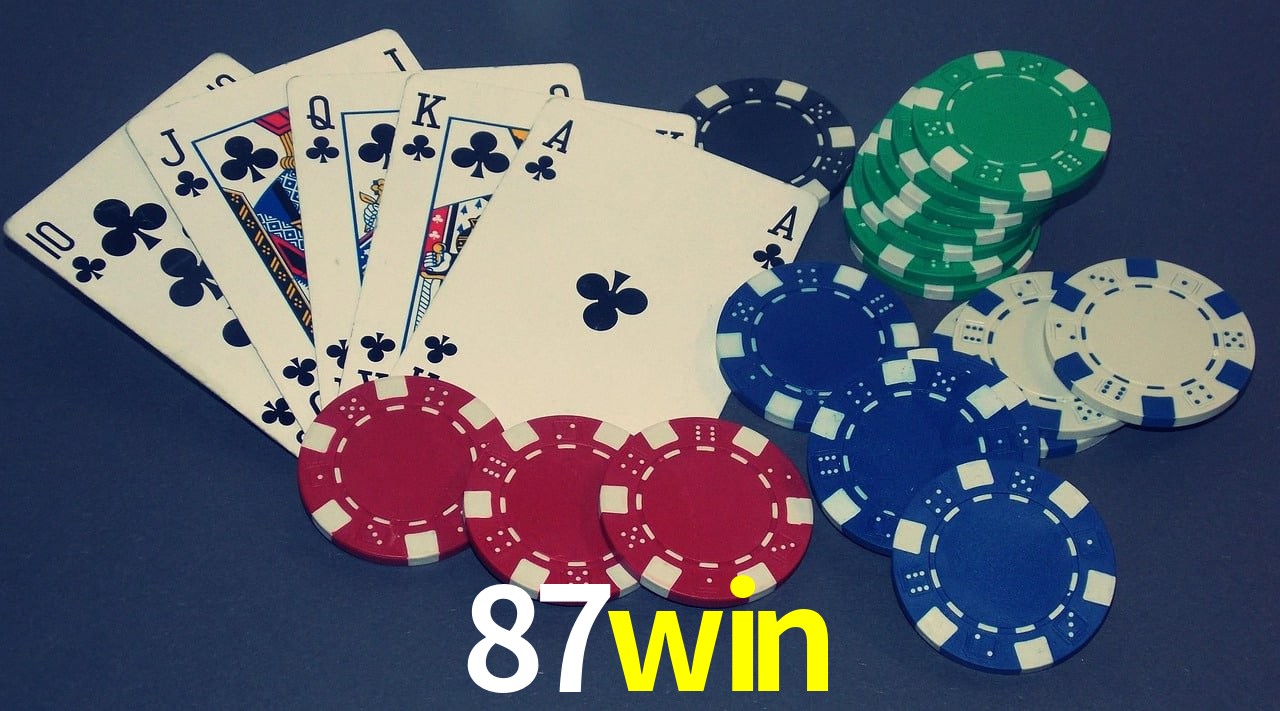 Security Systems 87win